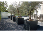 BUXUS Vierkant  140 x 140 x 60 cm
