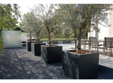 BUXUS Vierkant  140 x 140 x 60 cm