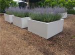 BUXUS Vierkant  140 x 140 x 60 cm