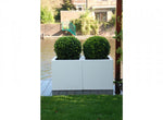 BUXUS Vierkant  140 x 140 x 60 cm