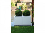 BUXUS Vierkant  140 x 140 x 60 cm